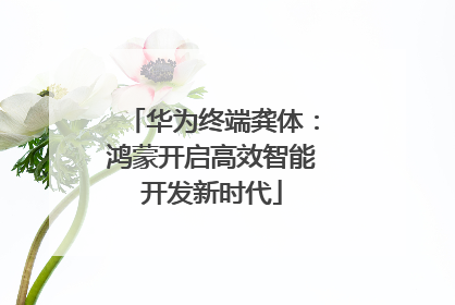 华为终端龚体：鸿蒙开启高效智能开发新时代